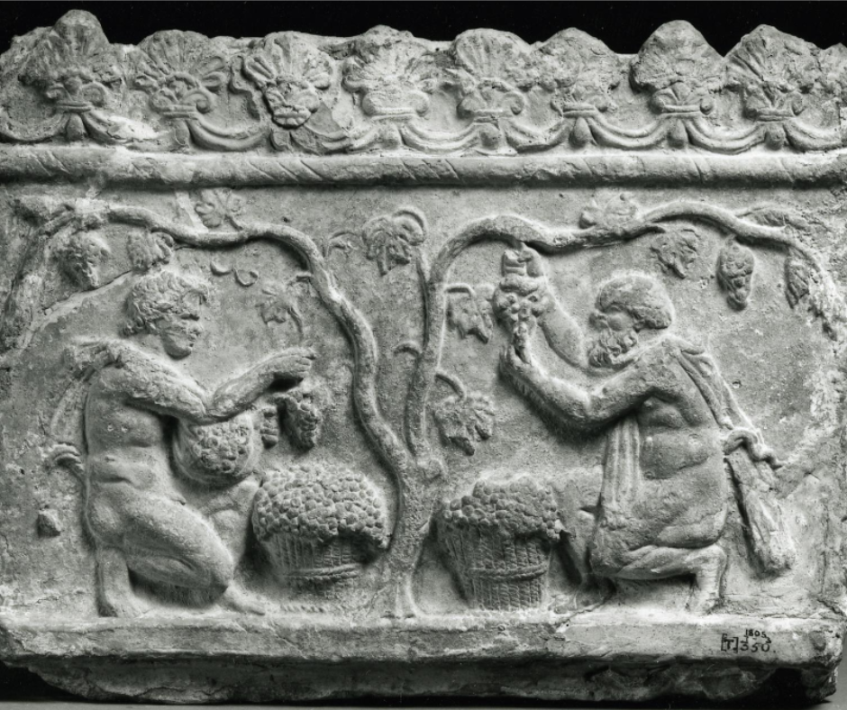 IV. Os viños romanos: O viño sapa.