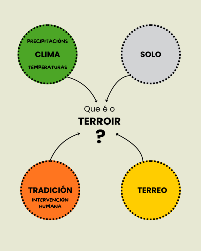 Factores del terroir
