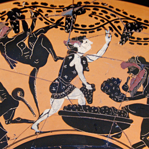 Detalle de kýlix ou copa ática de figuras negras, Pintor de Chiusi, finais do s. VI a.C. Mostra a un grupo de silenos e ménades nun viñedo, recollendo os acios de uva para o seu transporte en cestos.